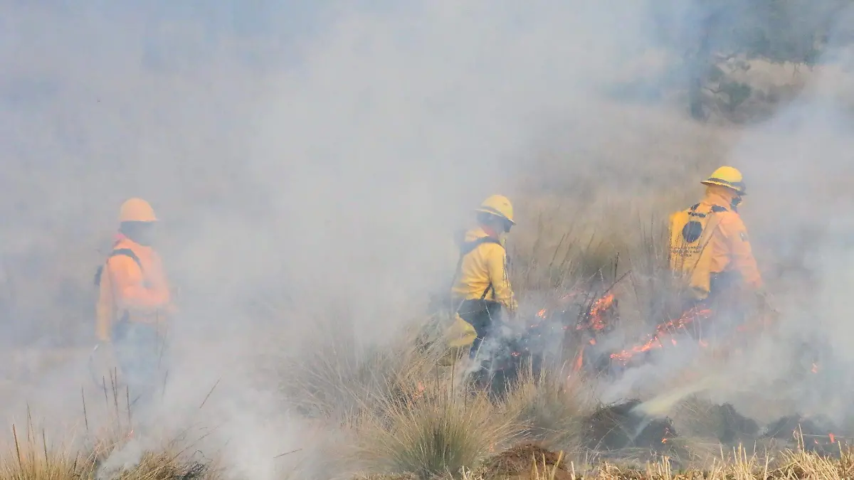 david-Incendios Forestales....